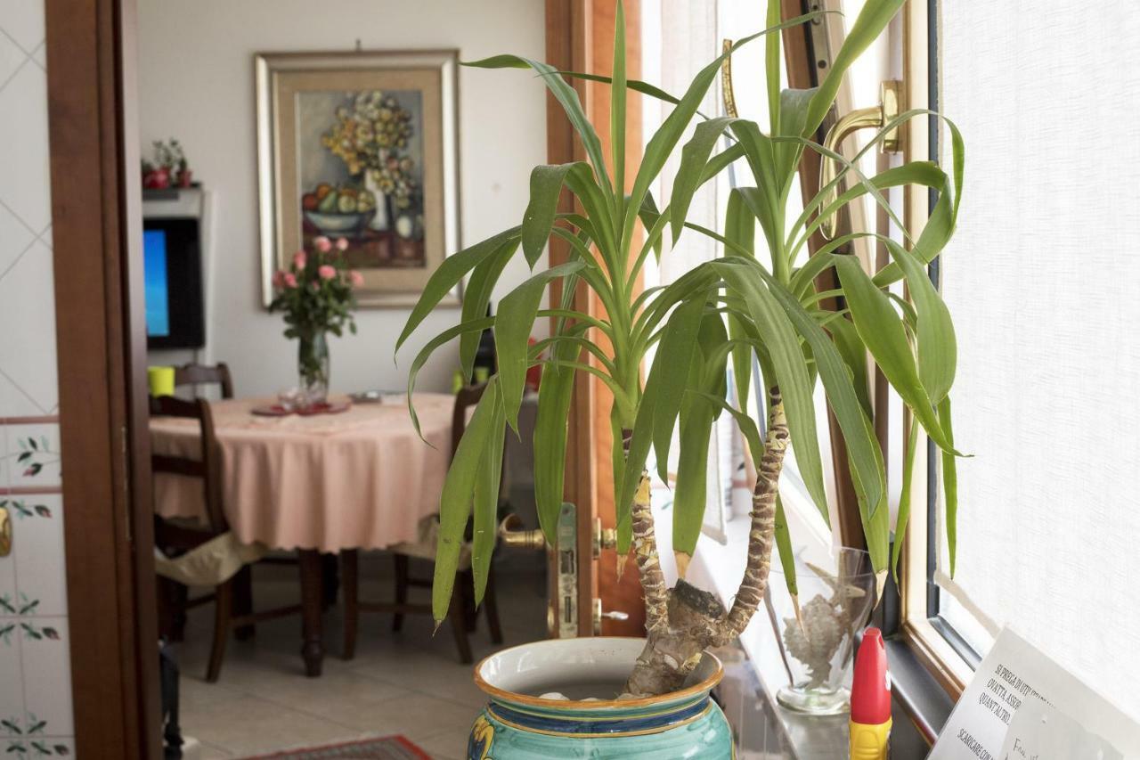 B&B Silvana Salerno Exteriér fotografie